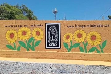 The Virgin Everywhere project