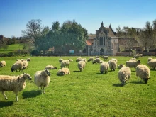 The historic Shrine of Our Lady of Walsingham.
