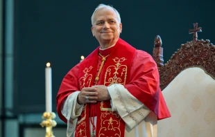 Pope Leo XIV in Harissa, Lebanon, on Dec. 1, 2025. Credit: Vatican Media