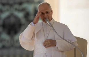 Pope Leo XIV gives his apostolic blessing at the end of the general audience in St. Peter’s Square on Nov. 12, 2025. Credit: Daniel Ibanez/CNA