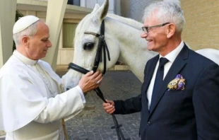 Pope Leo with ‘Proton’ Credit: Vatican Media