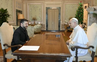 The Pope greets Zelenskyy in Castel Gandolfo. Credit: Vatican Media