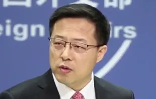 Chinese foreign ministry's spokesman Zhao Lijan.    China News Service. BY CC SA 3.0