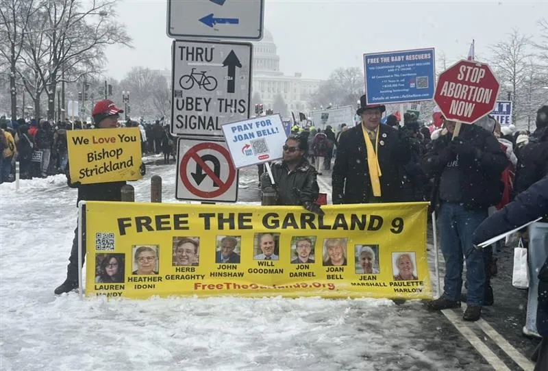 Pro-life activists protest the incarceration of nine activists charged with FACE Act violations on Jan. 19, 2024.?w=200&h=150