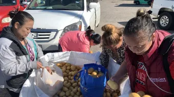 Local residents collect potatoes from Catholic Charities of the Texas Panhandle on May 17, 2024.