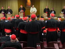 An ordinary public consistory at the Vatican on Oct. 20, 2014.