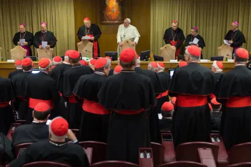 An ordinary public consistory at the Vatican on Oct. 20, 2014