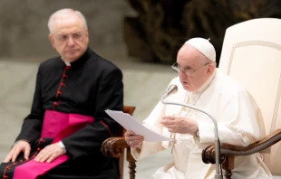 Pope Francis’ general audience in the Paul VI Hall at the Vatican, Nov. 17, 2021. Daniel Ibáñez/CNA.