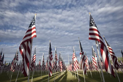 Flags for Memorial Day in the United States of America.