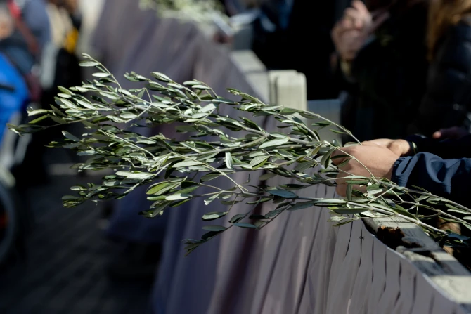 Pope Francis on Palm Sunday 2022