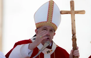 Pope Francis on Palm Sunday 2022 in St. Peter's Square. Daniel Ibanez/CNA