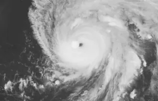 United States Naval Research Laboratory's infrared-gray satellite image of Hurricane Ian. Public Domain