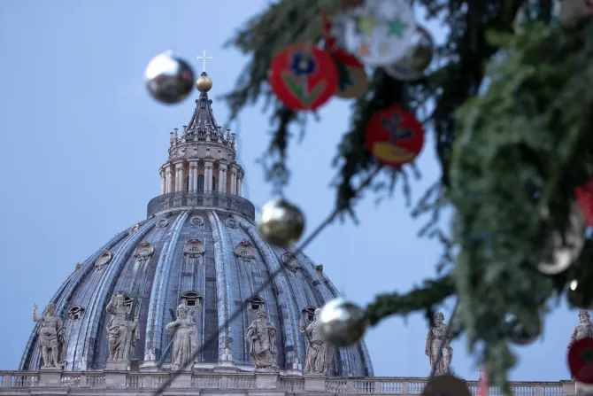 The Vatican Christmas tree is a nearly 100-foot-tall white fir from a mountain village in the central Italian region of Abruzzo.