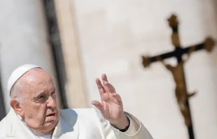 Pope Francis' general audience of April 19, 2023. Credit: Daniel Ibanez/CNA