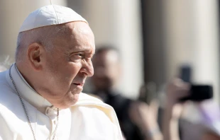 Pope Francis at the Wednesday general audience in St. Peter's Square on May 24, 2023. Daniel Ibanez/CNA