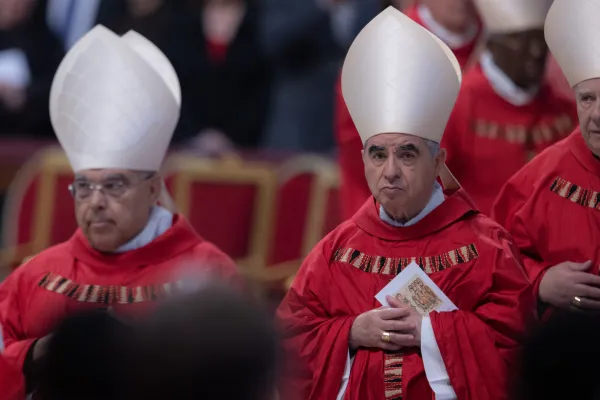 Cardenales presentes en la Misa del Vaticano por la Solemnidad de Pentecostés el 28 de mayo de 2023. Daniel Ibáñez/CNA