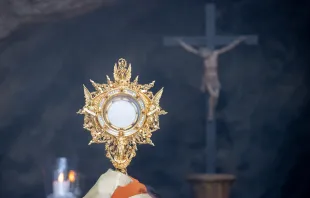 The Eucharistic procession ended in the Vatican’s Lourdes Grotto. Daniel Ibáñez/CNA
