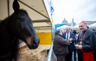 Cardinal Mauro Gambetti greets animals and offers his blessing in St. Peter’s Square on Wednesday, Jan. 17, 2024. Credit: Daniel Ibañez/CNA
