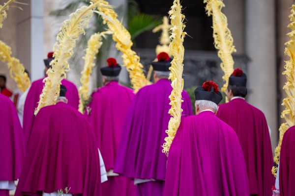 Palm Sunday procession in St. Peter's Square on March 24, 2024. Bénédicte Cedergren/EWTN News