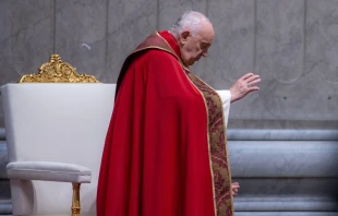 Pope Francis participates in Mass on the solemnity of Pentecost, May 19, 2024. Credit: Daniel Ibanez/CNA