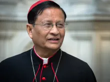 Cardinal Charles Maung Bo, pictured on May 12, 2016.