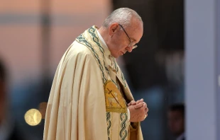 Pope Francis, pictured on July 30, 2016. Mazur/catholicnews.org.uk.