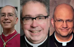 (Left to right) Bishop Mark Seitz of El Paso, Texas; Bishop Michael Olson of Fort Worth, Texas; and Bishop Edward Weisenburger of Tucson, Arizona. Credit: CNA file photo; Diocese of Fort Worth; CNA file photo