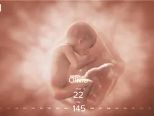 Live Action's new website on the development of a child through pregnancy, windowtothewomb.app.