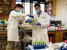 Biology major Michael Rohall and Franciscan University biology professor Dr. Kyle McKenna prepare to analyze blood samples for coronavirus specific antibodies. Photo courtesy of the Franciscan University of Steubenville.