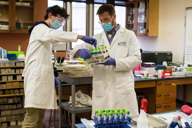 Biology major Michael Rohall and Franciscan University biology professor Dr. Kyle McKenna prepare to analyze blood samples for coronavirus specific antibodies. Photo courtesy of the Franciscan University of Steubenville.