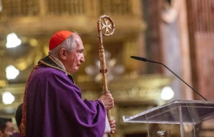 Cardinal Silvano Maria Tomasi. Martin Micallef/Maltese Association Order of Malta via Flickr.