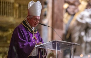 Cardinal Silvano Maria Tomasi. Martin Micallef/Maltese Association Order of Malta via Flickr.