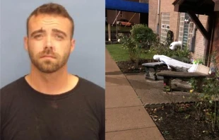 Eric Beck, 30, of Painesville, Ohio, was arrested and charged in connection with the vandalism and arson at Immaculate Conception Church in Willoughby, Ohio, early in the morning of Aug. 12, 2023. Photo credit: Willoughby Police Department