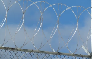 Credit: Kate Ter Haar via Flickr (CC BY 2.0)