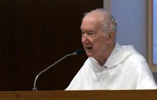 Father Timothy Radcliffe told the Synod on Synodality delegates on Oct. 23, 2023, that the time before the 2024 assembly "will be probably the most fertile time of the whole synod, the time of germination." Credit: Vatican Media