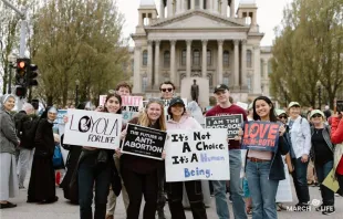 Pro-lifers participate in the Illinois March for Life in Springfield, April 17, 2024. Credit: Photo courtesy of March for Life