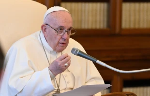 Pope Francis speaks from the Apostolic Palace during his general audience livestream April 14, 2021. Vatican Media/CNA