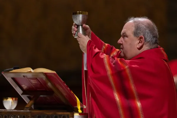 Archbishop Bernard Hebda of St. Paul-Minneapolis. Daniel Ibanez/CNA