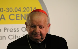 Cardinal Stanisław Dziwisz, pictured in Rome April 25, 2014. Kyle Burkhart/CNA.