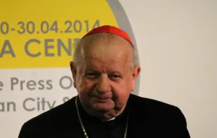 Cardinal Stanisław Dziwisz, pictured in Rome April 25, 2014. Kyle Burkhart/CNA.