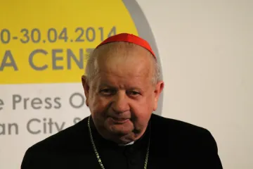 Cardinal Stanisław Dziwisz, pictured in Rome April 25, 2014