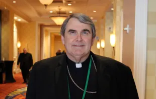 Bishop Michael Fisher at the 2019 USCCB spring general assembly, June 2019. Kate Veik/CNA