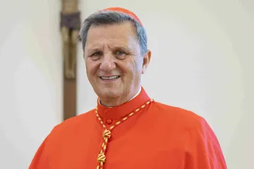 Cardinal Mario Grech, Secretary General of Synod of Bishops.