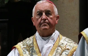 Bishop Jan Szkodoń, auxiliary bishop of Kraków, Poland. Franciszek Salezy Nowak OFM via Wikimedia (Public Domain Mark 1.0).