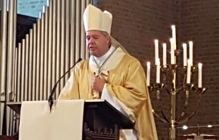 Bishop Rob Mutsaerts, auxiliary bishop of the Diocese of ’s-Hertogenbosch, in the Netherlands. Danny Gerrits - wikiportret.nl via Wikimedia (CC-BY-SA 4.0).