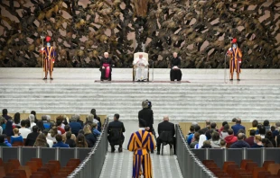 Pope Francis holds a general audience at the Paul VI Audience Hall at the Vatican, Oct 28, 2020. Vatican Media