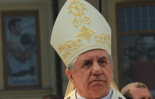 The Apostolic Nunciature of Poland has revealed further information regarding the resignation of Polish Archbishop Andrzej Dzięga, indicating that he stepped down due to alleged negligence in overseeing sexual abuse claims. Credit: Redaktor01|Wikimedia|GFDL