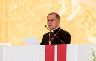 Archbishop Mieczysław Mokrzycki, Latin Rite archbishop of Lviv, Ukraine. Aid to the Church in Need.