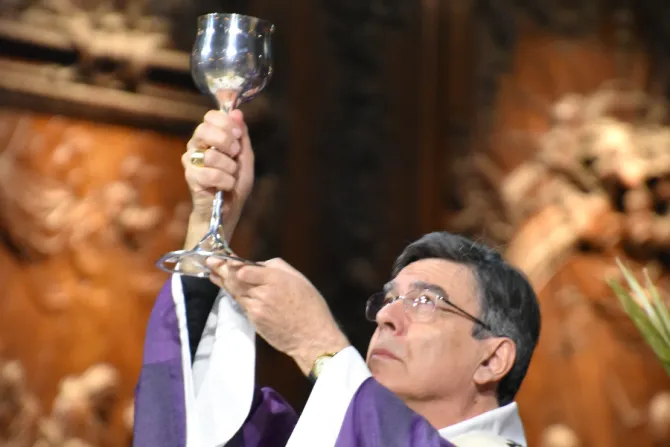 Archbishop Michel Aupetit, pictured in 2019