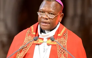 Cardinal Fridolin Ambongo, president of the Symposium of Episcopal Conferences of Africa and Madagascar (SECAM). Credit: François-Régis Salefran, CC BY-SA 4.0, via Wikimedia Commons